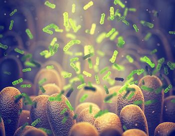 veterinary-microbiota-main.jpg