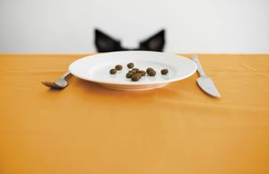 veterinary-dog-sitting-behing-the-table-450px-shutterstock-465337526.jpg