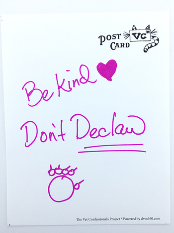 veterinary-confession-be-kind-declaw-450px.png