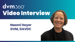 Examining dental radiographs