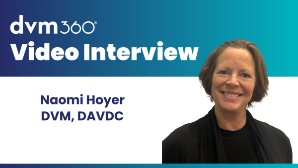 Examining dental radiographs