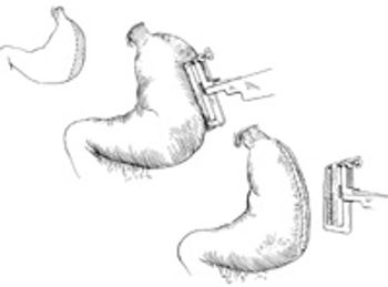 i1-727393-1384189299067.jpg
