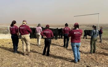 Texas A&M Veterinary Emergency Team