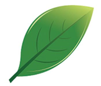 leaf-842935-1404210848955.jpg