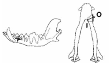 i4-824768-1404218253619.jpg