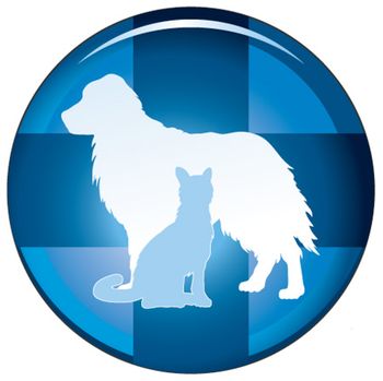 veterinary_CPR_Update_450.jpg