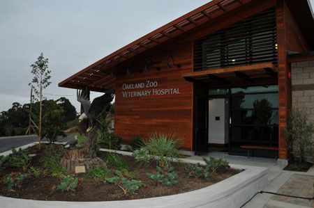 Pets And Vets Oakland Zoo Unveils New Veterinary Hospital Dvm 360