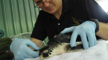 Dr. Michael Ziccardi