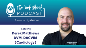 Cardiology insights: Building on the RAPACAT Trial with a new study for cats