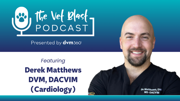 Cardiology insights: Building on the RAPACAT Trial with a new study for cats