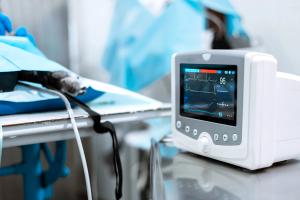 Becoming a veterinary cardiologist