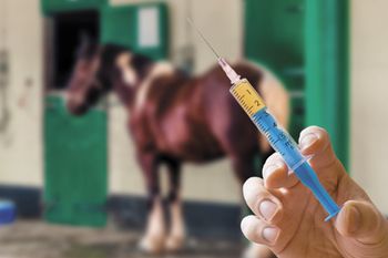 veterinary-horse-hand-veterinarian-holds-syringe-horse-background-450px-shutterstock-416490469.jpg