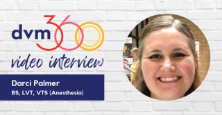 Veterinary anesthesia myths and misconceptions