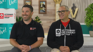 Transforming veterinary emergency care: exploring VEG's innovative approach