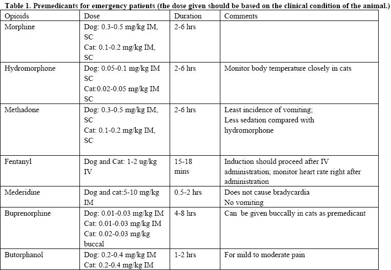 Emergency anesthesia: What should we do? (Proceedings)