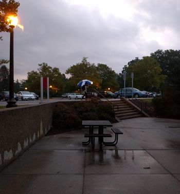 Img1.jpg