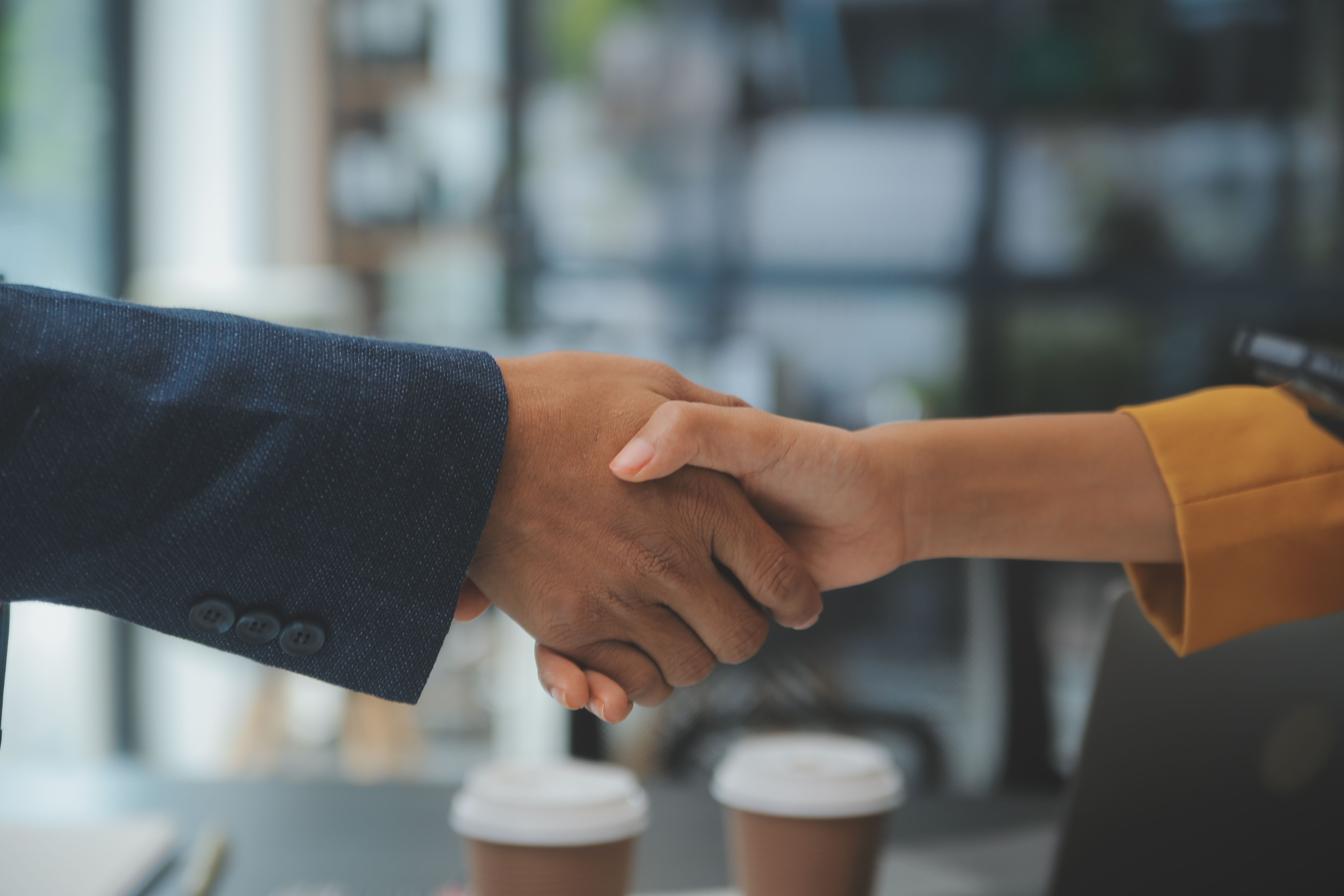 Business professionals shaking hands over deal