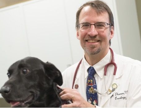 【裁断済み】VETERINARY ONCOLOGY No.47 VETERINARY BOARD 2023 MARCH No.47 脳腫瘍の手術適応を考える