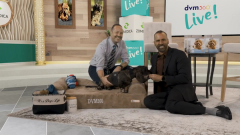 EP. 19 See the Calmer Canine separation anxiety treatment system in action
