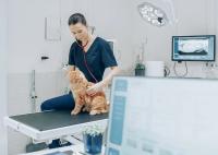 Veterinary innovation