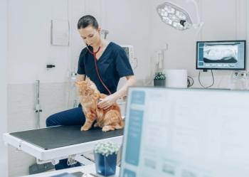 Veterinary innovation
