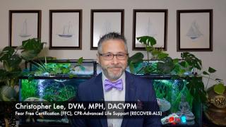 Vet Watch Update: New World screwworm