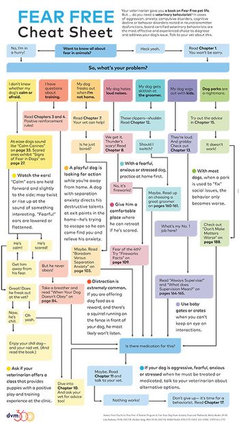 veterinary-fear-free-book-algorithm-client-handout-450.jpg