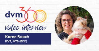 An overview of the transfusion process