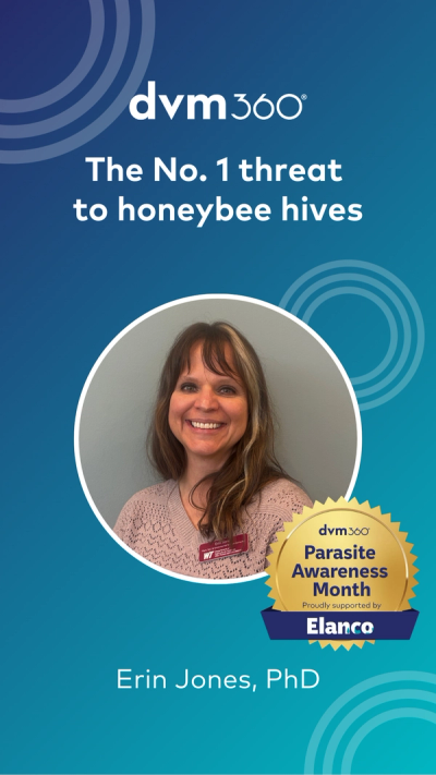 Health of honeybee hives