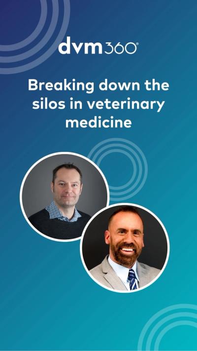Breaking down the silos in veterinary medicine