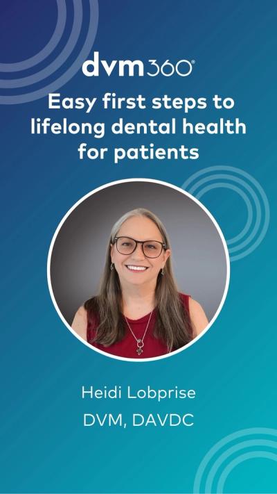 Easy first steps to lifelong dental health for patients