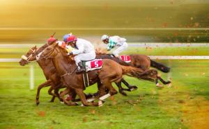 Study links bone loss to proximal sesamoid fractures in racehorses