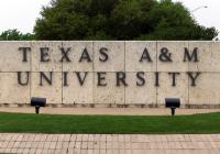 Texas A&M team to sequence thousands of screwworms in search of drug resistance markers