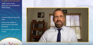 Elucidating the consequences of COVID-19 for veterinary practices