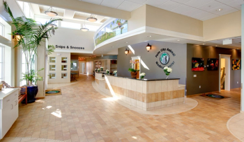 light, airy veterinary hospital lobby