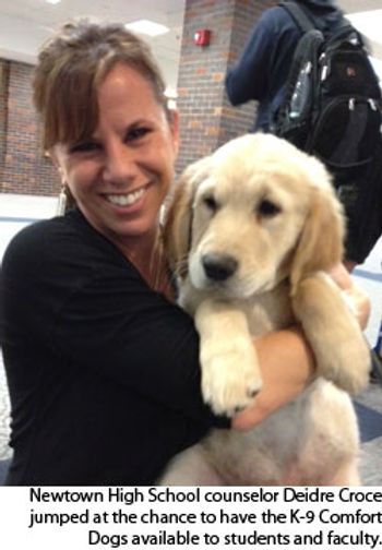 dogs1-806785-1382854266637.jpg