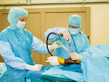 veterinary_Bramlage_Surgery2_Rood_Riddle_450px.jpg