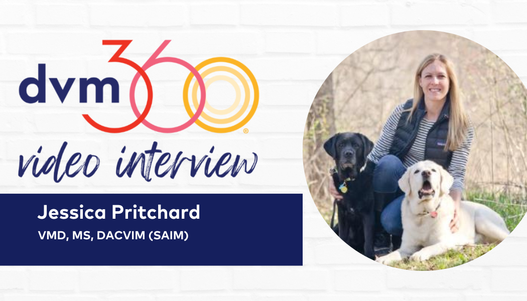 Prostora probiotic best sale