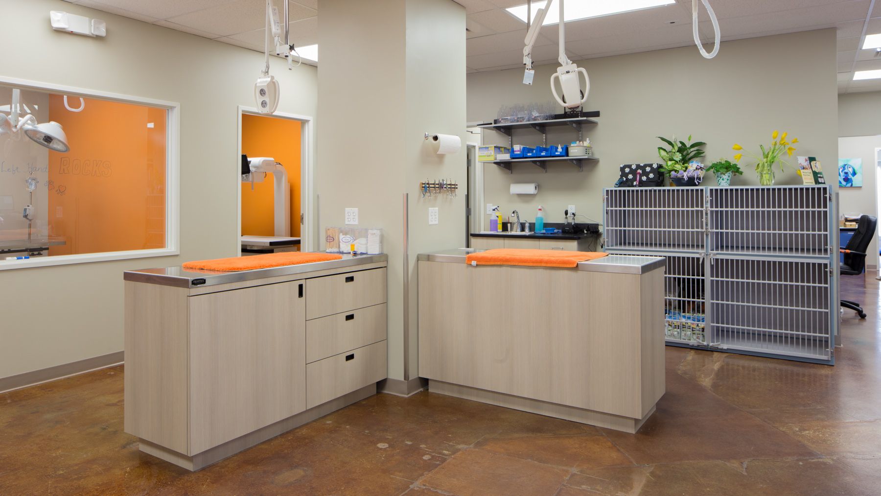 Build your first veterinary hospital