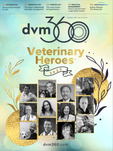 dvm360 August 2022