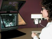 3-D Capture and Display System