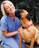 Jennifer L. Wardlaw, DVM, MS, DACVS