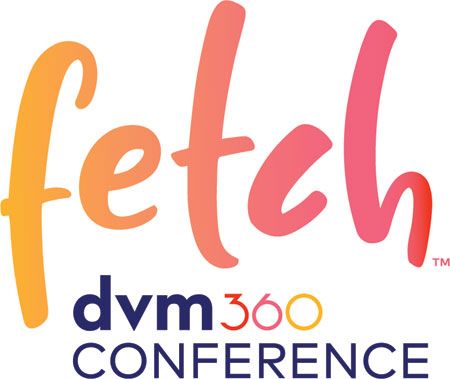 CVC Renamed, Reinvented As Fetch, A Dvm360 Conference