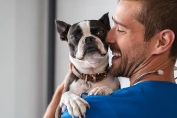 veterinarian with dog