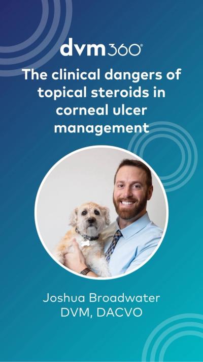 The clinical dangers of topical steroids in corneal ulcer management