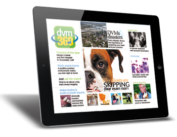 dvm360_AppPage-issue2-450pxw-787711-1384159748098.png