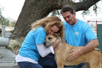 woman hugging dog, man petting dog