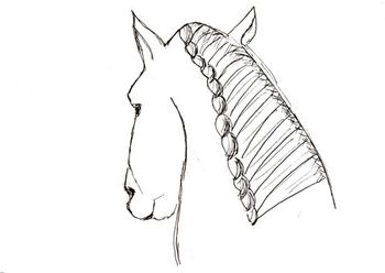 braid450.jpg