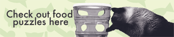 veterinary-cat-maeby-food-puzzles.jpg.gif