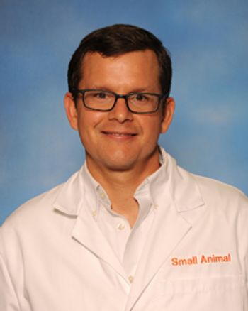 Clinical_Rounds_feline_MCT_Jose-Guevara_220.jpg